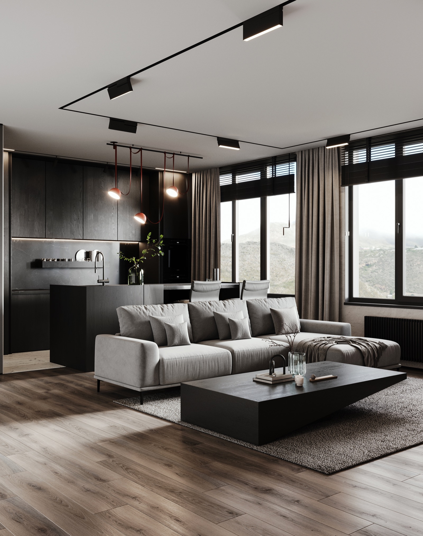 Ridge Apartment — view 4